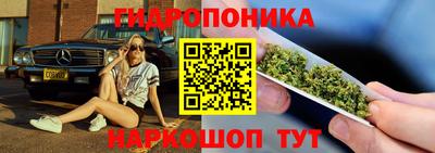 соль ск Кингисепп