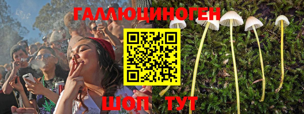 Псилоцибиновые грибы Psilocybine cubensis  Вход с VPN  Котлас  Псилоцибиновые грибы прущие грибы 