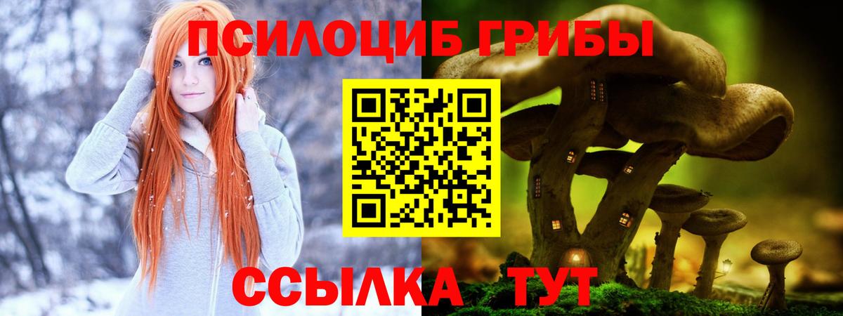 Псилоцибиновые грибы MAGIC MUSHROOMS Котлас